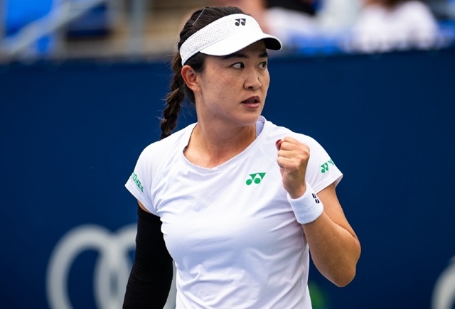 布朗泽蒂稳, buIx